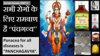 पंचगव्य के औषधीय गुण |Medicinal properties of Panchagavya | Garuda Purana (PART 3)