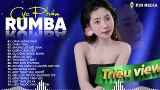 Rumba Nhạc Trẻ 8x 9x Hot Nhất Hiện Nay - Cánh Hồng Phai, Chân Tình..Album Rumba Gây Nghiện 2024