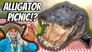 Alligator Picnic!!! Incredible Enrichment You Won't Believe!