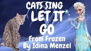 Cats Sing Let it Go from Frozen by Idina Menzel | Cats Singing Song