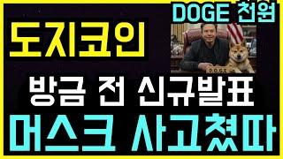 도지코인 일론머스크 "소송 종결" 5분 전 신규발표 DOGE 1달러 도지투더문