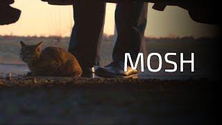 "MOSH" - qisqa metrajli film. O'zbekkino/O'zbekfilm