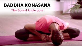 Baddha Konasana | The Bound Angle pose | Steps | Yogic Fitness