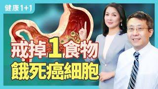 戒掉一食物 餓死癌細胞 | 健康1+1 · 直播精選