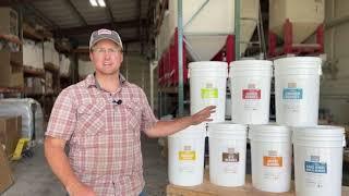 Ancient Grains for Long-Term Food Storage - Organic Wheat in Super Pails