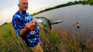 Farm Pond Multi Species Fishing with my Dad