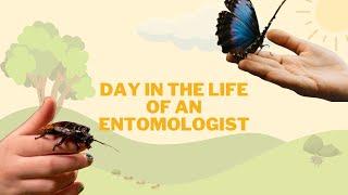 Day in the Life of an Entomologist
