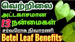 வெற்றிலை நன்மைகள்/betel leaf benefits/vetrilai benefits in tamil/வெற்றிலை கஷாயம்/health tips tamil