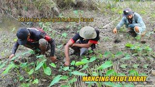 HERAN !! MANCING BELUT DI DARATAN BISA DAPAT BANYAK KAYA GINI