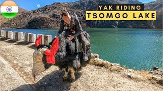 INSANE motorcycle ride TSOMGO LAKE, SIKKIM - India Motovlogging