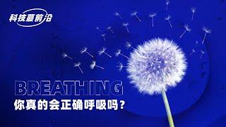 一刻talks：你真的会正确呼吸吗？