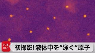 初撮影！原子が液体中を“泳ぐ”様子を映像で（2022年7月28日）