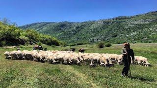 Lura, mrekullia që duhet shpëtuar - Fshatrat e Shqipërisë