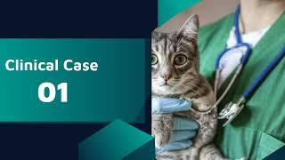 Case # 01 - Veterinary Clinical Case Studies