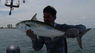 Visiting Clearwater Beach Florida! This place is AMAZING!