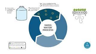 How Does Our Process Work?
