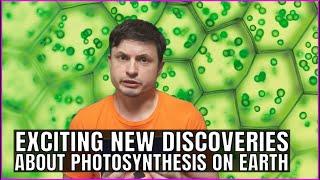 Surprising Discoveries About Photosynthesis Right Here On Earth