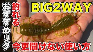 【バス釣り】BIG2WAY(レイドジャパン）の使い方!!フリーリグやジグヘッドワッキーなどおすすめリグについて徹底解説!!【RAIDJAPAN】