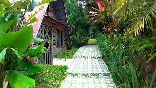 VILLAGE GARDEN TOUR/THE BEAUTY WORTH A THOUSAND WORDS/CAMSUR BICOL