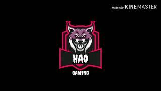 TESTING - Hao Gaming