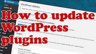 How to UPDATE WordPress Plugins and Themes without BREAKING your site