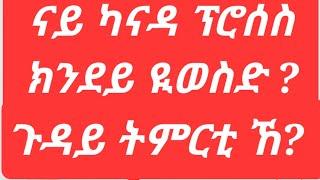 ናይ ካናዳ ፕሮሰስ ክንደይ ዪወስድ? ንትምርቲ ከ አንታይ ክንማላአ? ንዝብል ሕቶታትኩም መልሲ