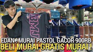 AKSI NEKAD ! CUMA KIOS BMJ JELAMBAR BELI MURAI GRATIS MURAI SETIAP BULAN BOWO MURAI JELAMBAR