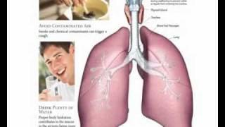 ( Video Libro ) Life & Healthy Healthy Body  - Editorial Safeliz