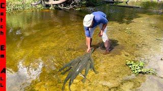 FISH are DYING and TRAPPED in COW PUDDLES! ** Help from Troy Landry, Bruce, n Aaron on Swamp People*