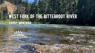 Fly Fishing the West Fork of the Bitterroot River in Montana | Fly Fishing Waters