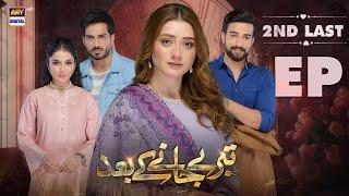 Teray Janay Kay Baad 2nd Last Episode | 25 November 2024 | ARY Digital Drama