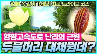 양평고속도로로 이슈된 두물머리 리뷰 - 양평여행지 주말마다 사람이 몰리는 이유가 있어요