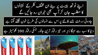 Random Facts Around The World | Part 68 | Urdu / Hindi