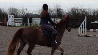 Tushingham arena leah potter