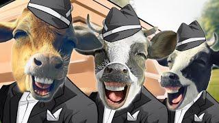 COFFIN COW DANCE 40│Cow Song & Cow Videos 2024 | #CoffinDance #CODIS #cow #cows #cowvideos #cowdance