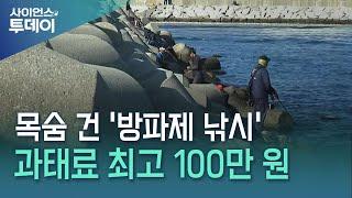 목숨 건 '방파제 낚시'...과태료 최고 100만 원 / YTN 사이언스