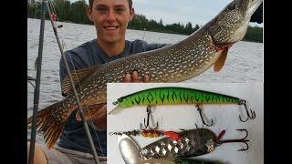 Best Pike Fishing Lures, Tips, and Techniques - How to Catch Basics