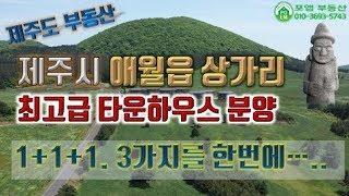 제주도 부동산  제주시 애월읍 상가리 최고급 타운하우스 분양