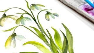 Watercolor white Snowdrop Flowers, simple & easy for the beginner artist