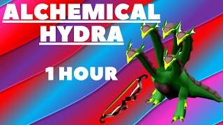 alchemical hydra guide osrs with Twisted bow 1 hour recorded