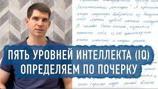 Пять уровней развития интеллекта (IQ) - отражение в почерке