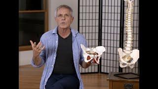 New!  Deeper Ground: Restoration and Vitality for the Female Pelvis with Tom Myers