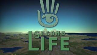 The first hour of Second Life!