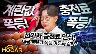 계란값 폭등? 닭 키우면 되지!...전기차 충전료, 집 전기 꽂으면?