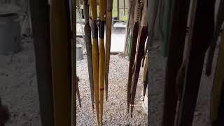 Selfbows rule! #novembersouth #selfbow #bowandarrow #osage #primitiveskills #archery #bowmaking
