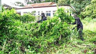 SURPRISE clean up the abandoned house, mowing the overgrown grass, neighbors are very happy