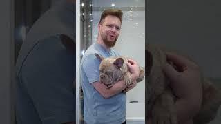 А у тебя есть домашний питомец? У нас пёс - Бушерон)
