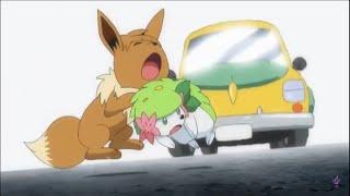 Shaymin Saves Eevee From Being Hit By a Car Pokémon Sun and Moon Episode 117 English Dub Clip