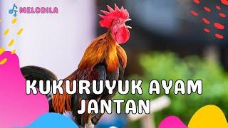  LAGU KUKURUYUK AYAM JANTAN - Lagu Anak Indonesia | Lagu Anak Populer | Lagu Anak Terbaru