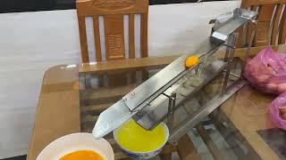 Egg yolk separator - H&T Food